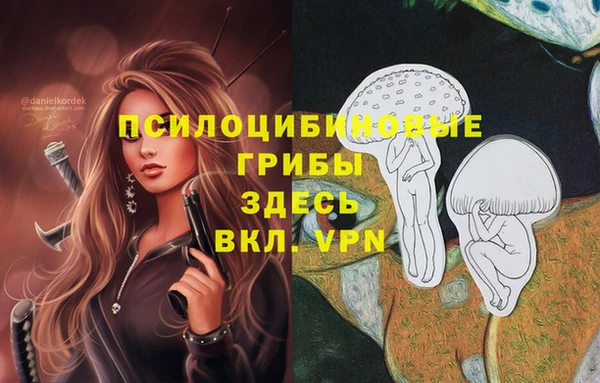 ECSTASY Алексин