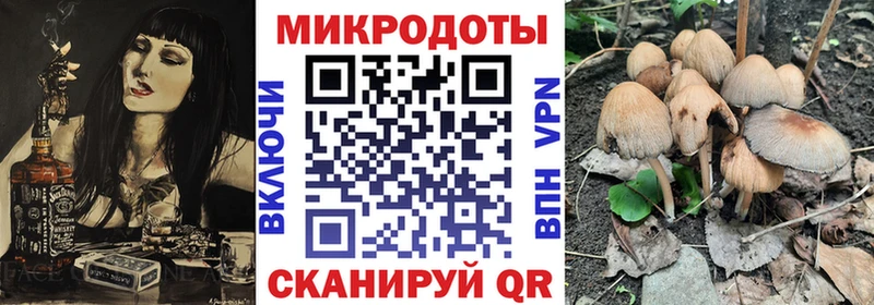 Псилоцибиновые грибы Magic Shrooms  Кемь 
